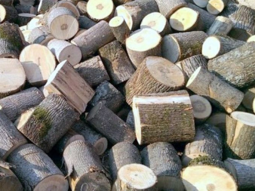 В Авдеевке льготные категории граждан могут бесплатно получить дрова