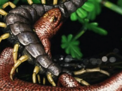 Мировой змей. Найден новый вид рептилий, живших на Земле 310 млн лет назад