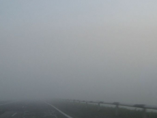 Полиция предупреждает водителей на Донетчине о сильном тумане и низкой видимости