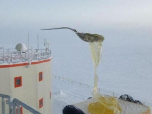 Глазунья при -60: полярник повеселил Сеть блюдами из Антарктиды (ФОТО)