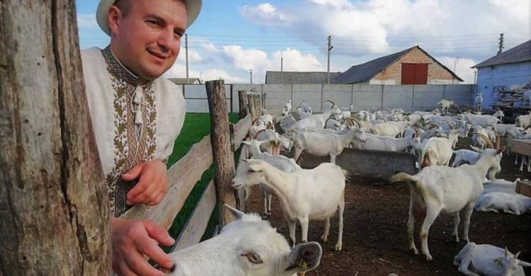 Фермеры из Киевщины разводят элитных коз и делают из козьего масла уникальное мыло
