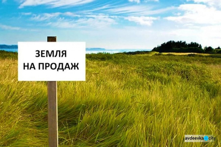 Рынок земли: сколько будет стоить гектар в Украине