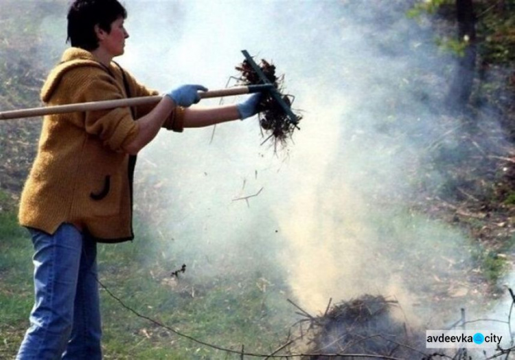 Які штрафи доведеться сплатити авдіївцям за спалювання сухої  рослинності