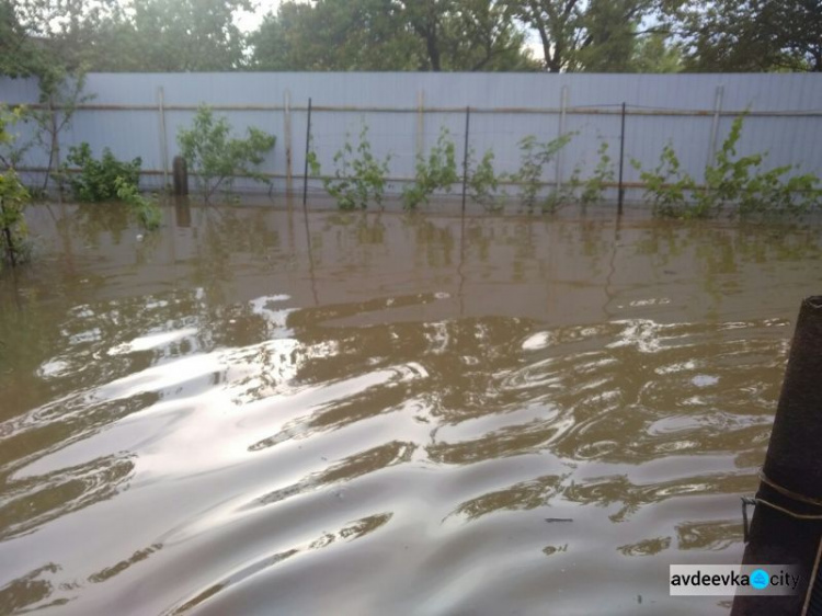 В двух городах на Донетчине сильный дождь подтопил жилые дома (ФОТО)