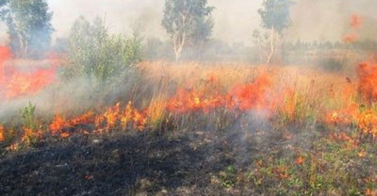 Донецкую область предупредили о чрезвычайной пожароопасности