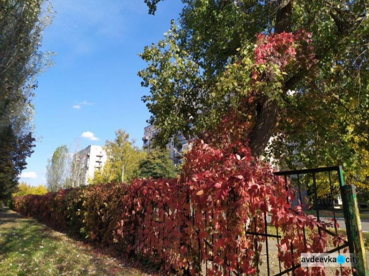 Осень раскрасила прифронтовую Авдеевку в яркие краски (ФОТОРЕПОРТАЖ)