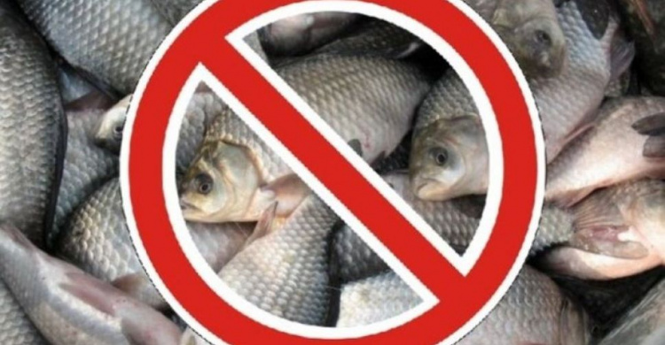 В Донецкой области введен временный запрет на вылов рыбы