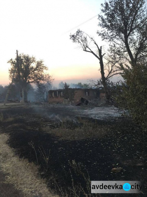 Пожар, начавшийся с горения травы, стер с лица земли село в Донецкой области (ФОТО)