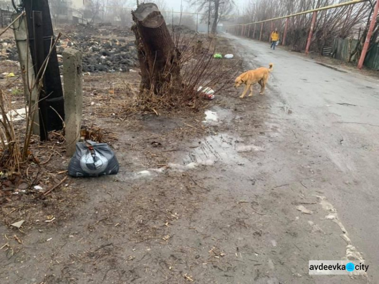 Безвідповідальні мешканці Авдіївки залишають сміття посеред  вулиць