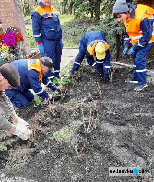 В Авдіївці біля меморіалу жертвам Чорнобильської трагеді висадили троянди