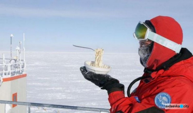 Глазунья при -60: полярник повеселил Сеть блюдами из Антарктиды (ФОТО)