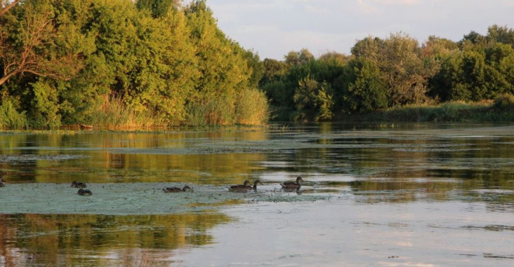 В Донецкой области возьмутся за очистку рек от ила и грязи