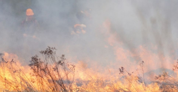 На открытых территориях Донетчины произошло почти 60 пожаров