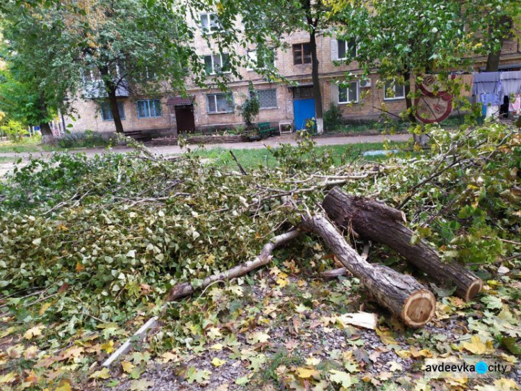 В Авдеевке продолжают спил аварийных деревьев (ФОТОФАКТ)