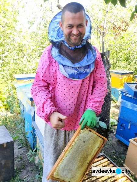 Дотацию за пчелосемьи получили четыре авдеевских пасечника