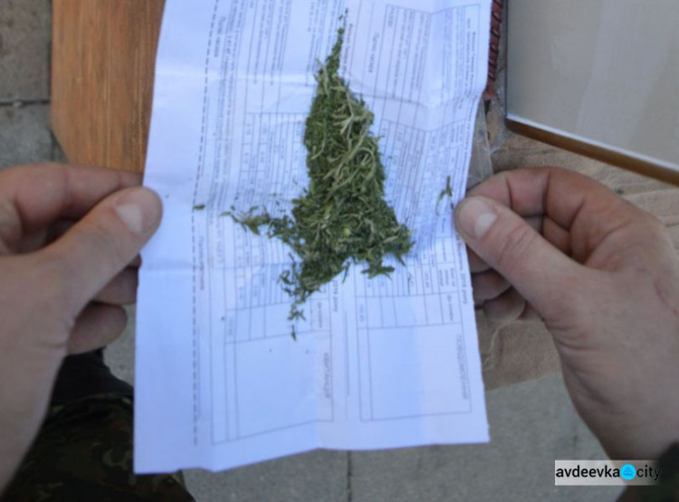 Пакетик с марихуаной  "от грусти" может стоить жителю Авдеевки 3 лет свободы