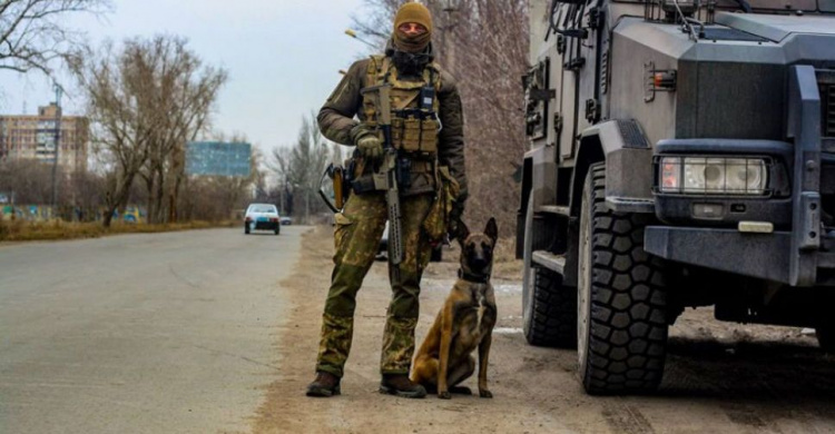 В Авдіївці службовий пес гвардійців виявив схованку з боєприпасами