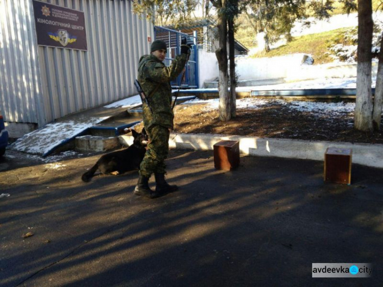 Донетчина встретит Год Собаки под охраной собак из 8 областей: смотрите фото