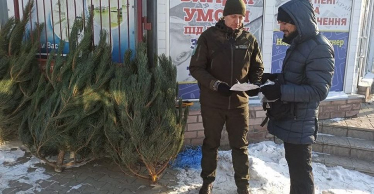 В Донецкой области экологическая инспекция начала привлекать к ответственности за незаконную торговлю елками