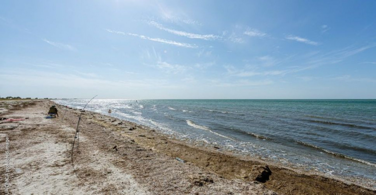 Море без медуз: как выбрать комфортный курорт на Азове для яркого отдыха летом
