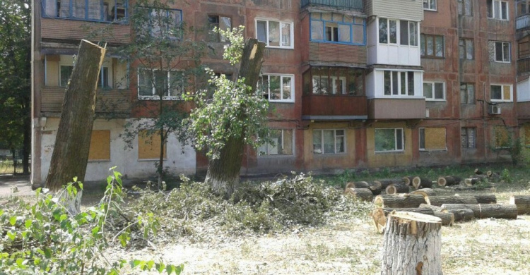 Обрезка деревьев оголила раны прифронтовой Авдеевки (ФОТО)