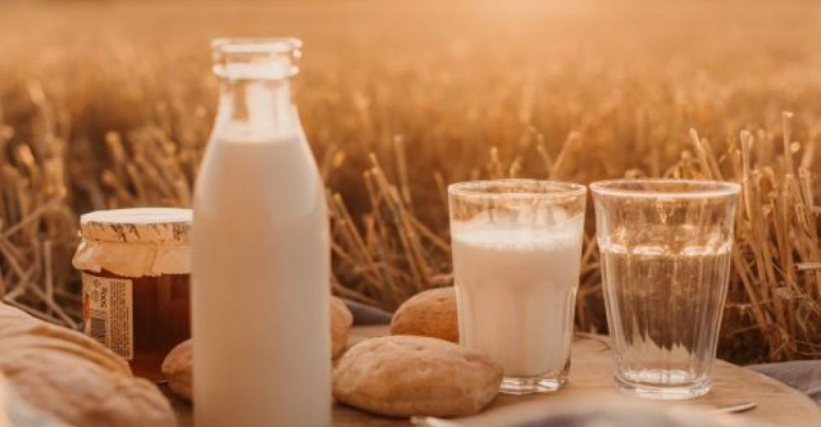 В Украине не контролируется качество молока