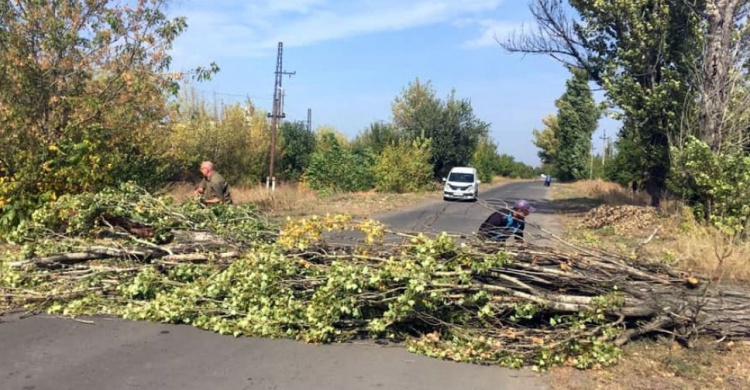 Коммунальная служба Авдеевки оперативно убрала с дороги упавшее дерево