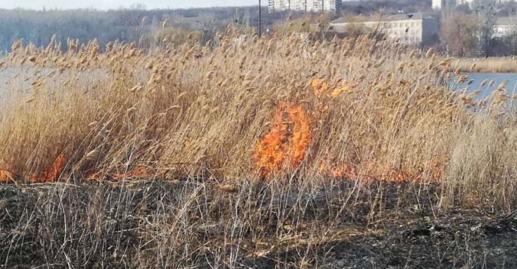 Донецкую область охватили пожары под открытым небом