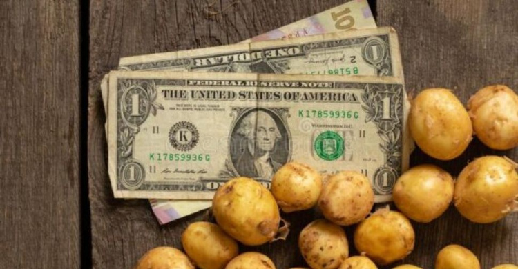 Картопля очолила список найдорожчих овочів світу