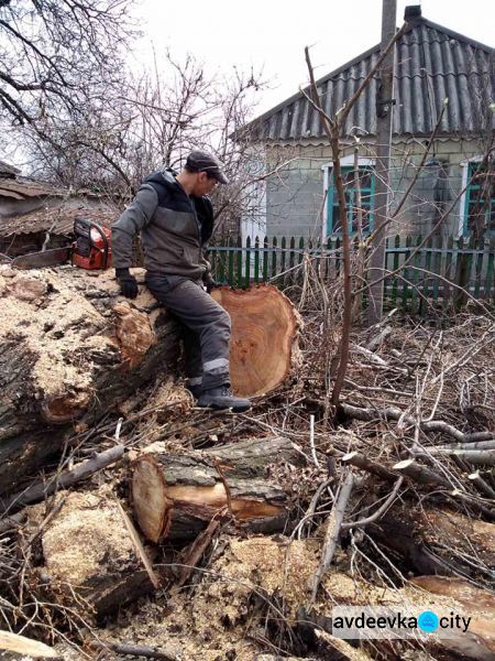 Комунальники Авдіївки проводять санітарку обрізку та видалення аварійних дерев