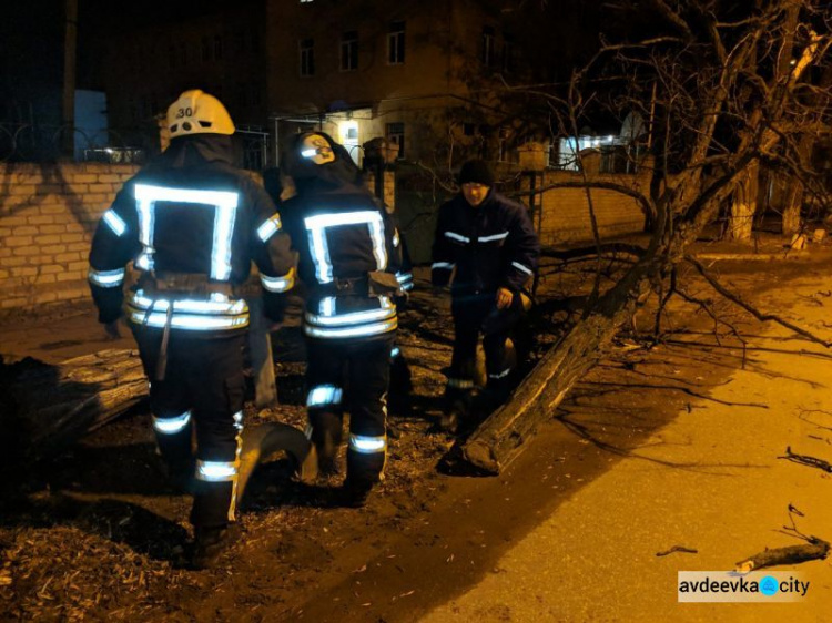 Шквальный ветер валил деревья в Донецкой области (ФОТО)