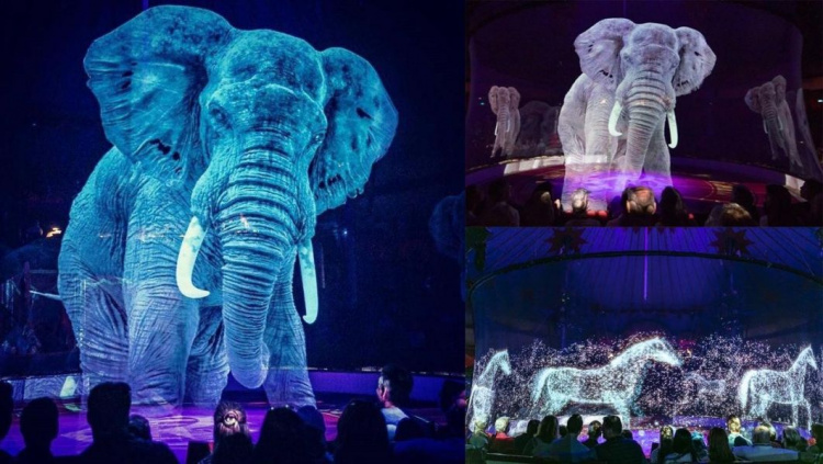 В немецком цирке вместо животных выступают голограммы (ФОТО+ВИДЕО)