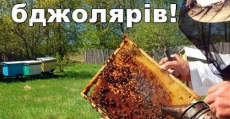 Авдіївськи пасічники можуть отримати дотацію за бджолосім'ї