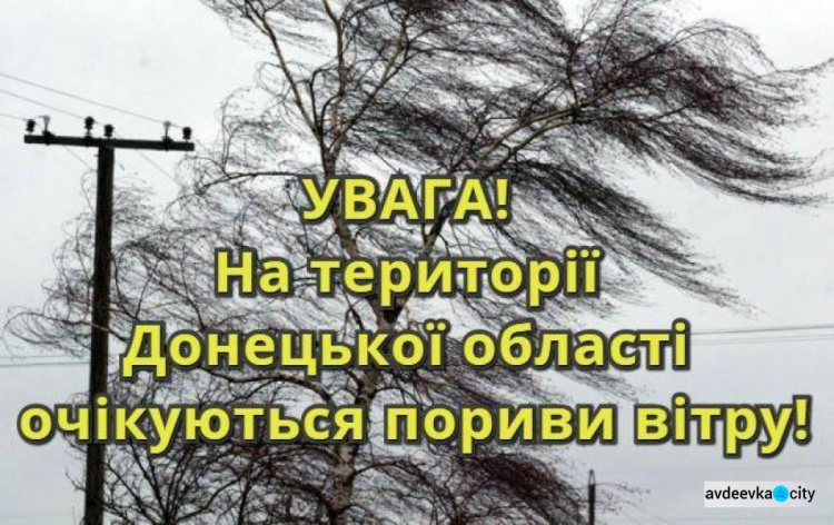 Жителей Донецкой области предупредили о сильных порывах ветра