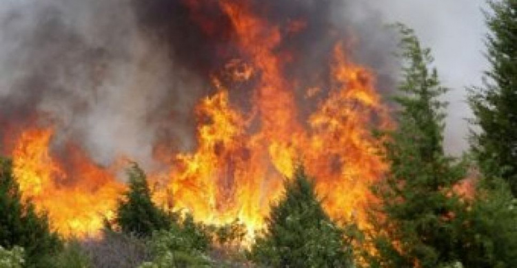 На Донбассе объявлен 5 класс пожарной опасности. Как не стать жертвой стихии? (ВИДЕО)