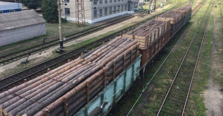 На Донбассе перекрыли канал незаконного траффика древесины в ОРДО