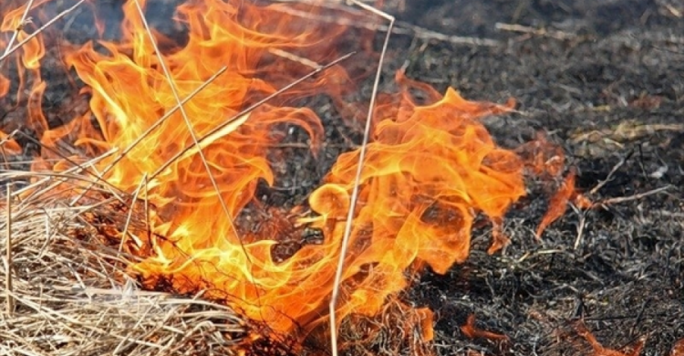 До авдіївців звернулися щодо заборони спалювання листя і сухої трави