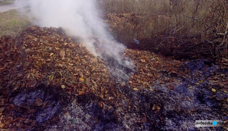 В Авдеевке усилен контроль за случаями сжигания растительности 