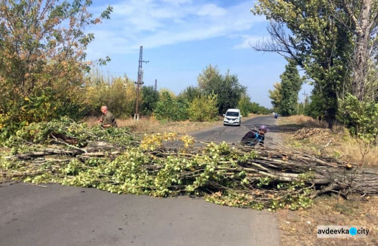 Коммунальная служба Авдеевки оперативно убрала с дороги упавшее дерево