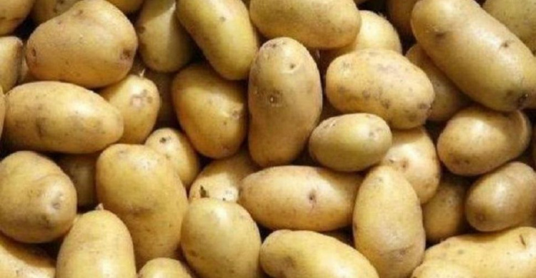 В Раде под креслом одного из нардепов нашли пятикилограммовый пакет сырого картофеля