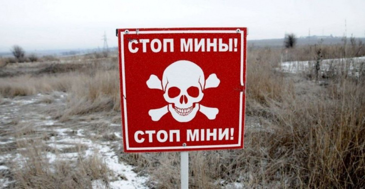 Минный кошмар Донбасса: озвучены шокирующие данные