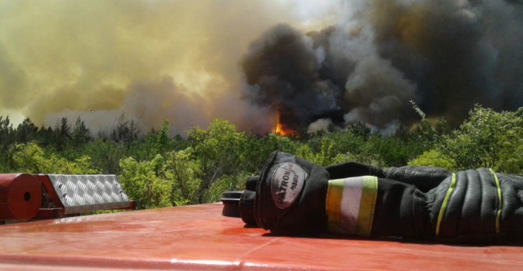 В Донецкой области пожар за пожаром: горят поля, леса, дачи (ВИДЕО)
