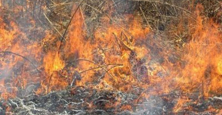 Рятівникам Авдіївки повідомили, що палає трава