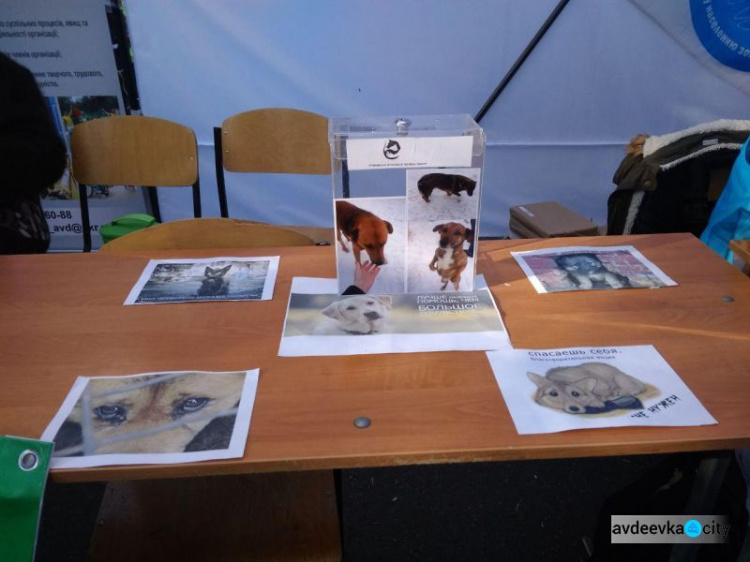 Во время фестиваля в Авдеевке зоозащитники провели флешмоб: появились фото