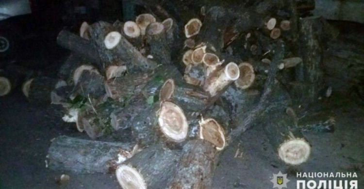 Авдеевские полицейские зафиксировали незаконную вырубку леса: подробности и фото