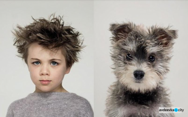 Одно лицо: потрясающее сходство людей и собак (ФОТО)