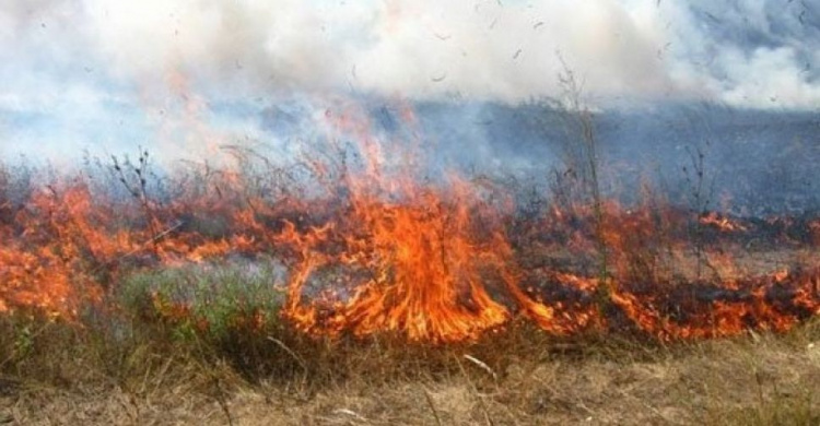 Пожары продолжают бушевать в Донецкой области. Авдеевка не исключение