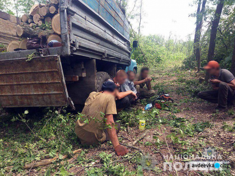 В Донецкой области распоясались "черные лесорубы"