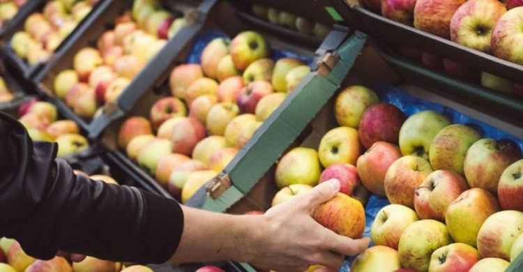 Эксперты прогнозируют цену яблок - 75 грн за килограмм
