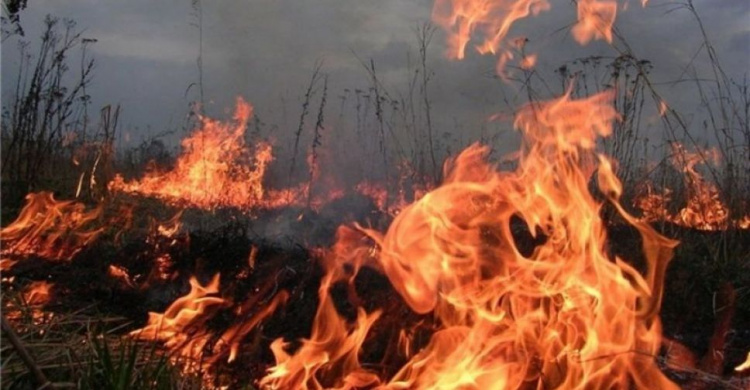 В Донецкой области горели 5 городов, включая Авдеевку